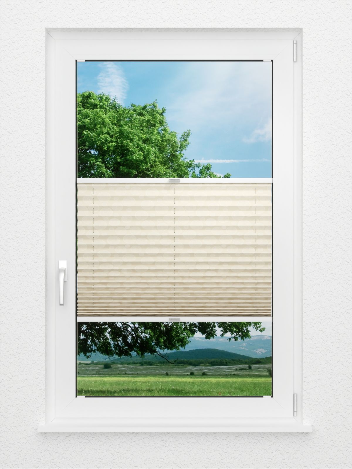 Detailansicht Plissé Glossy Circles 5702.1251