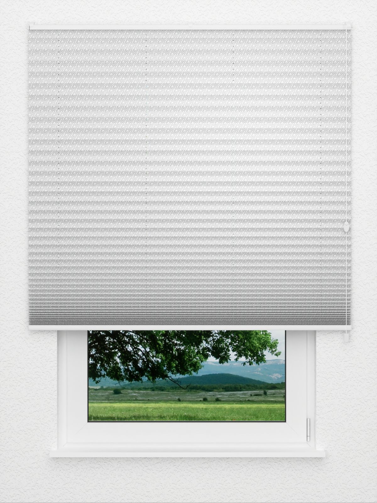 Detailansicht Plissé WindowFashion 3819.8752