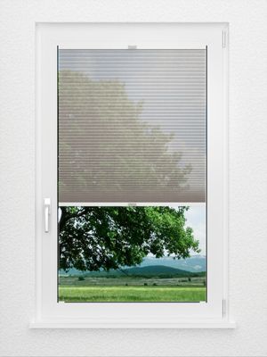 Preview Rough Comb SCL 6201.3576 2