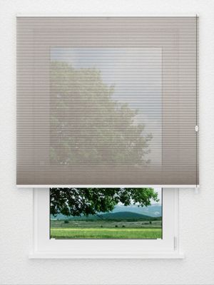Preview Rough Comb SCL 6201.3576 0