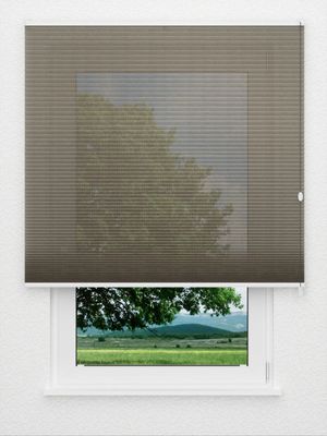 Preview Rough Comb SCL 6402.3578 0