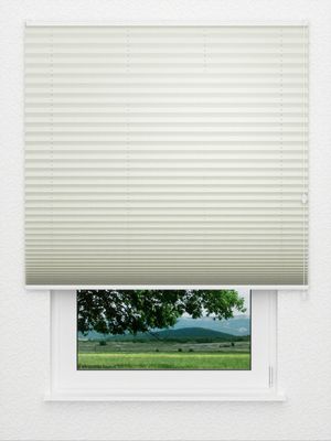 Store plissé Coton 3801.0118 Fensteransicht
