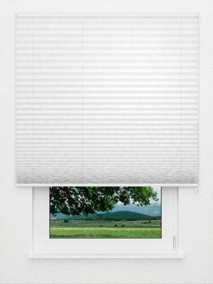 Plissé Glossy Circles 5701.0115 Fensteransicht