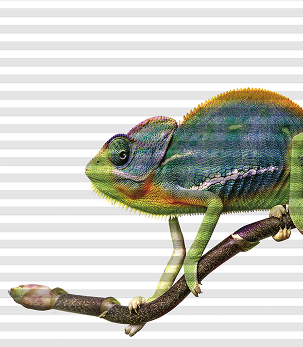 Detailansicht DUETTE® Acosta 12.449