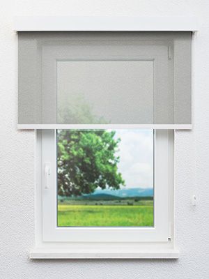 Preview Altentreptow 10.127e 0