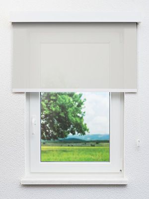 Preview Seelen 00.068e 0