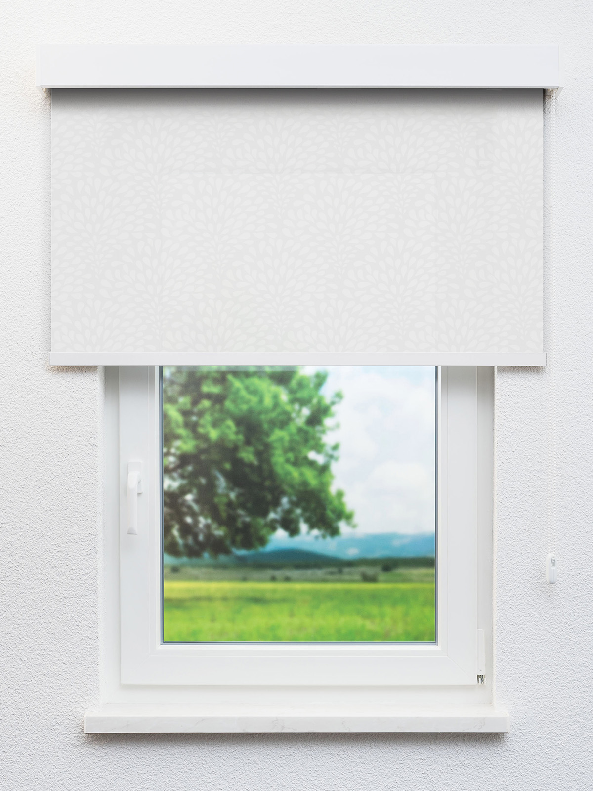 Detailansicht Gartz 12.196e