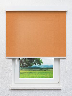 Böhlen 72.861e Fensteransicht