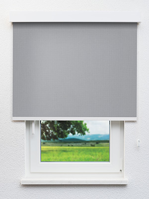 Braubach 30.603e Fensteransicht