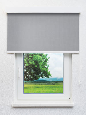 Preview Braubach 30.603e 2