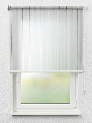 Braunfels 01.513e Fensteransicht