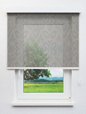 Frankenberg 30,995e Fensteransicht