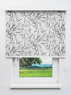 Füssen 20.286e Fensteransicht