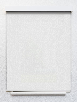 Preview Gartz 12.196e 1