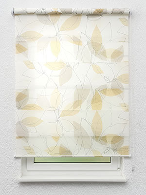 Blomberg 20.207e Fensteransicht