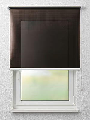 Egeln 50.009e Fensteransicht