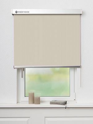 Store enrouleur Felis 5501.5208 Fensteransicht