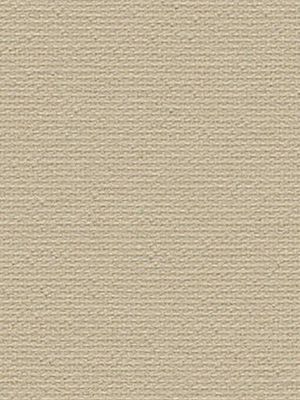 Clingen 81.040e Detailansicht