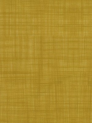 Store Anser 5503.1505 Detailansicht