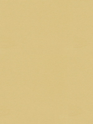 Store Sceptrum 5503.6406 Detailansicht