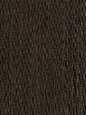 Feuchtwangen 50.885e Detailansicht