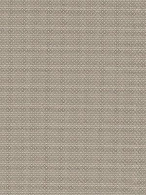 Balingen 21.558e Detailansicht