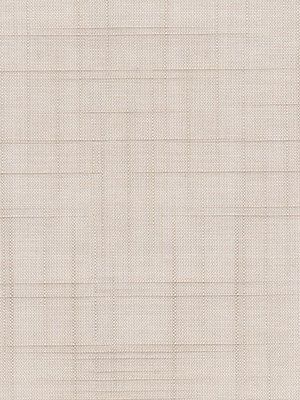 Store Canopus 5502.1602 Detailansicht